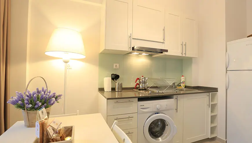 Lavanta Suite 301 - photo 3