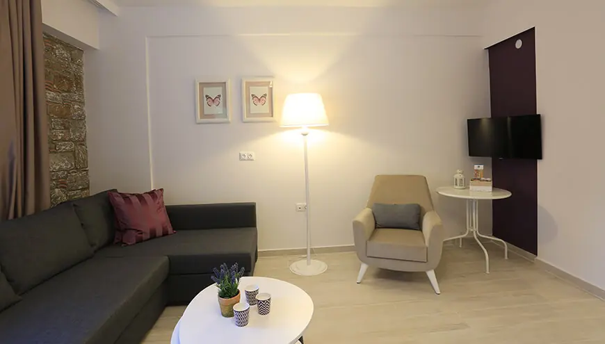 Lavanta Suite 302 - photo 3